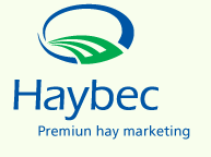 Logo Haybec